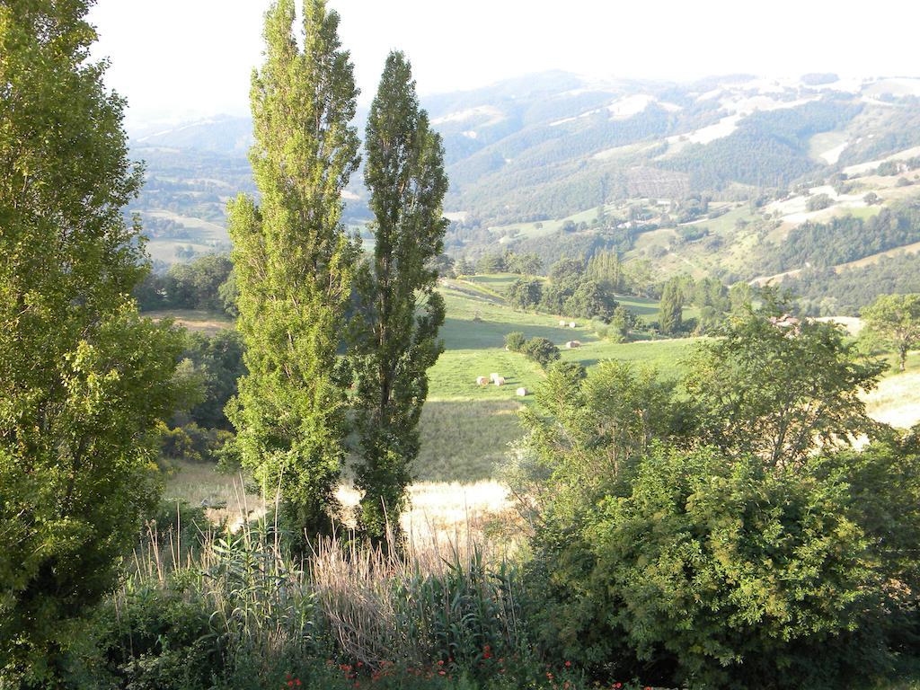 Agriturismo Borgo San Benedetto Villa Pietralunga  Dış mekan fotoğraf