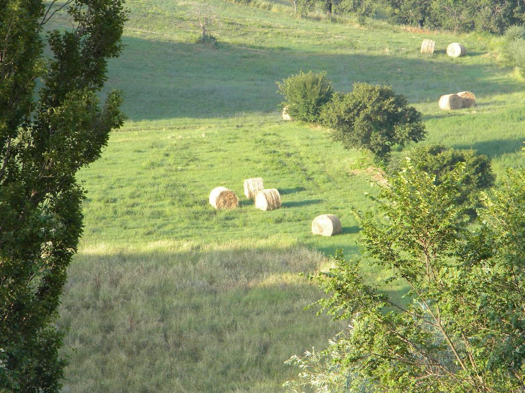 Agriturismo Borgo San Benedetto Villa Pietralunga  Dış mekan fotoğraf