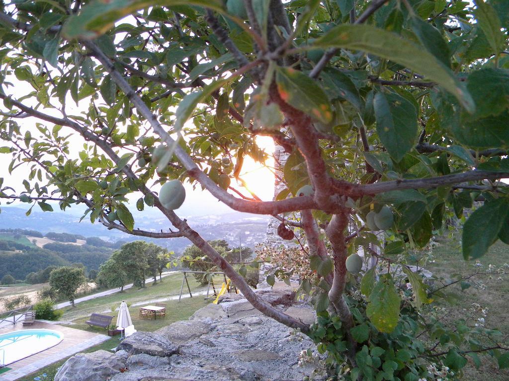 Agriturismo Borgo San Benedetto Villa Pietralunga  Dış mekan fotoğraf