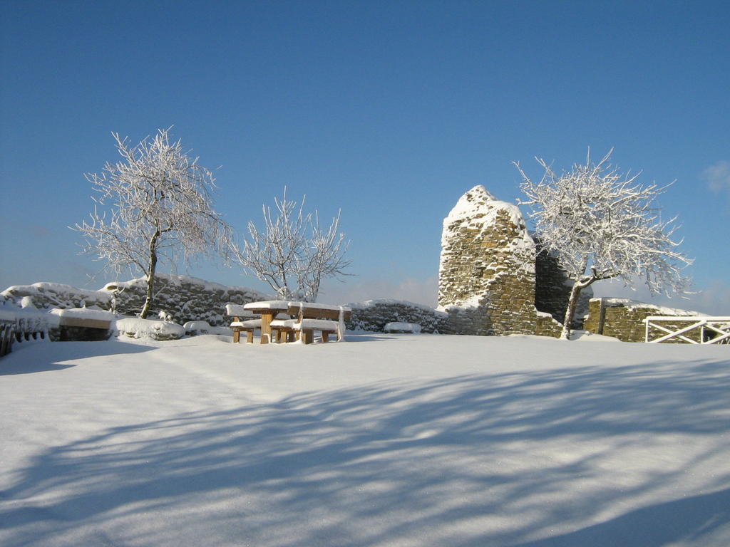 Agriturismo Borgo San Benedetto Villa Pietralunga  Dış mekan fotoğraf